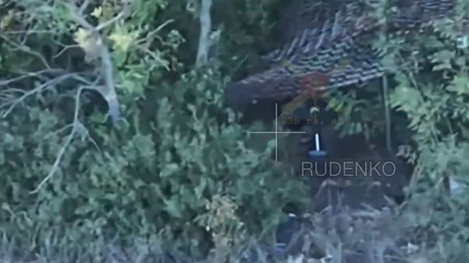  :     ()      ..               ...