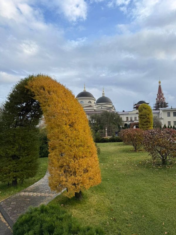 9 вещей, которые мудрый человек должен скрывать от всех в старости