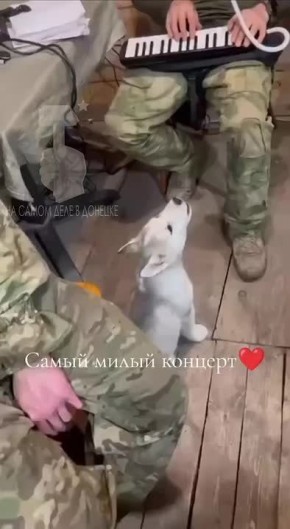   ,  !