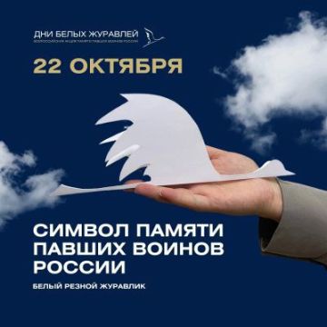 Летят в бессмертье журавли: в России отмечают день светлой памяти и духовности