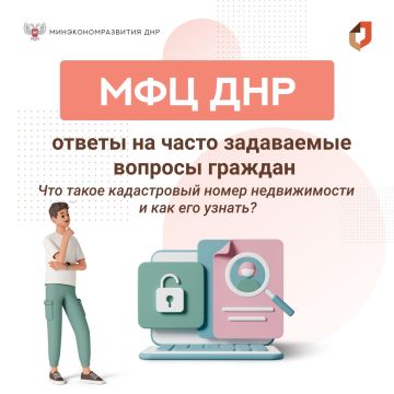 Что такое кадастровый номер недвижимости и как его узнать?