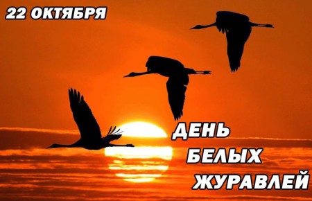  :  !. , 22 ,     