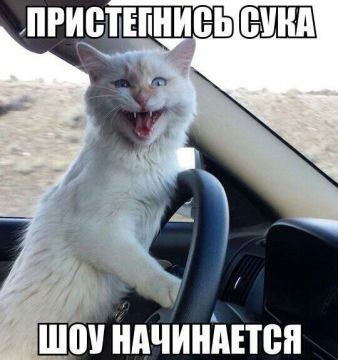 Дмитрий Стешин: Анекдот из Донецка, от Жени Марти: "Машенька, у вас в детсаду топят? Нет, пока только в угол ставят"