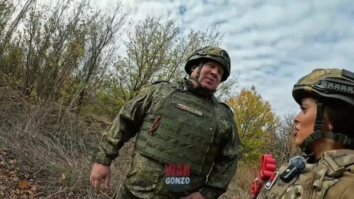 WarGonzo: Какие цели «жалит» советская «Оса» на СВО