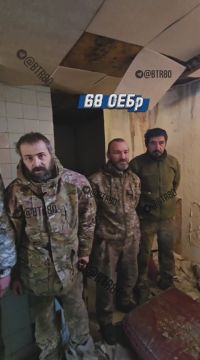 Новая партия пленных ВСУ с Красноармейского направления (Покровск)