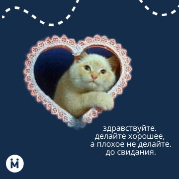 На улицах Донецка стало так много рекламы и визуального шума, что глаза устают, а городской стиль теряется
