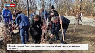В Горловке продолжается масштабный проект по высадке в городе почти тысячи деревьев
