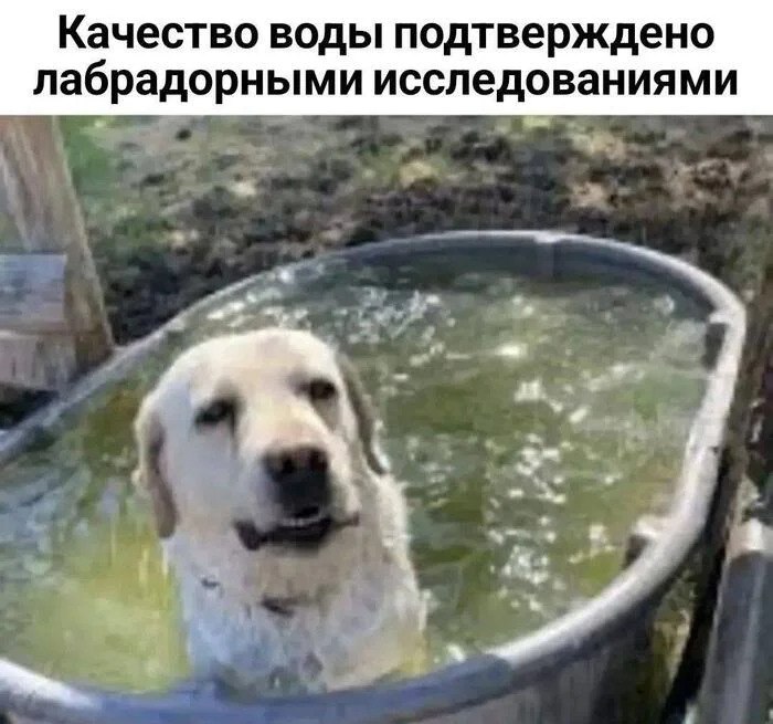Как можно проверить качество воды из-под крана в Донецке