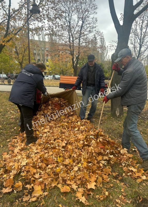 Сотрудники Дирекции парков продолжают заботиться о красоте наших любимых городских пространств Сотрудники Дирекции парков продолжают заботиться о красоте наших любимых городских пространств