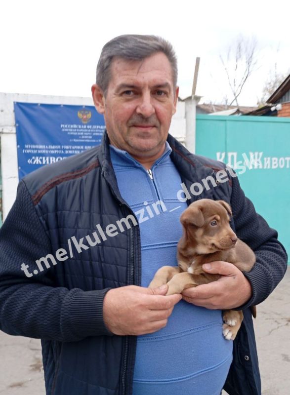 Алексей Кулемзин: Сотрудники предприятия «Животные в городе» неустанно трудятся, чтобы подарить четвероногим друзьям шанс на счастливую жизнь: обеспечивают питанием и лечением, а также занимаются поиском новых семей Алексей Кулемзин: Сотрудники предприятия «Животные в городе» неустанно трудятся, чтобы подарить четвероногим друзьям шанс на счастливую жизнь: обеспечивают питанием и лечением, а также занимаются поиском новых семей