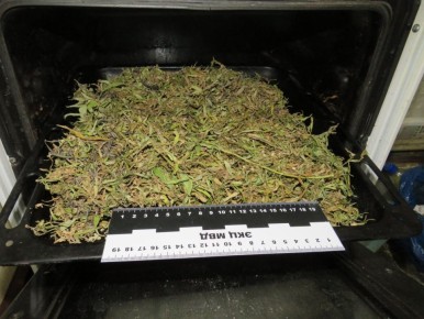 Стражи правопорядка уличили жителя Амвросиевки в незаконном хранении наркотиков