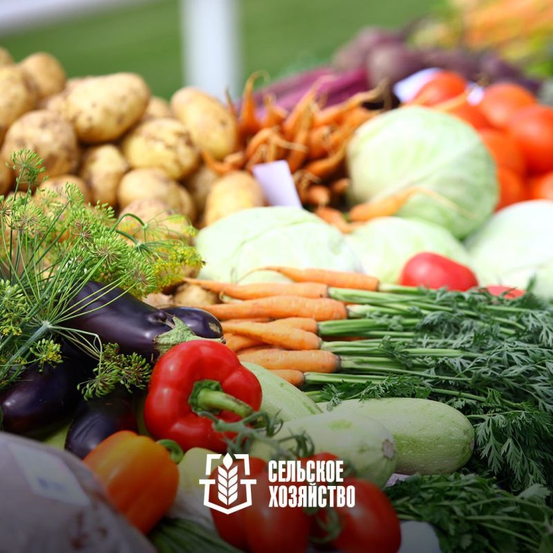 Денис Пушилин дал распоряжение в срочном порядке устранить проволочки, которые мешают ввести в эксплуатацию многоквартирный дом и административное здание в Авдеевке