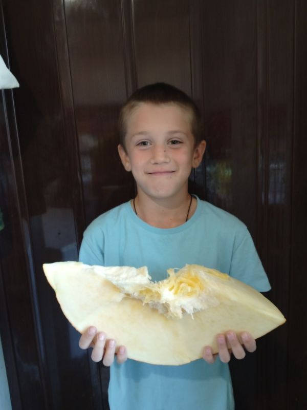 На достигнутом не остановится: горловчанка хочет вырастить гигантские кабачок и лук На достигнутом не остановится: горловчанка хочет вырастить гигантские кабачок и лук