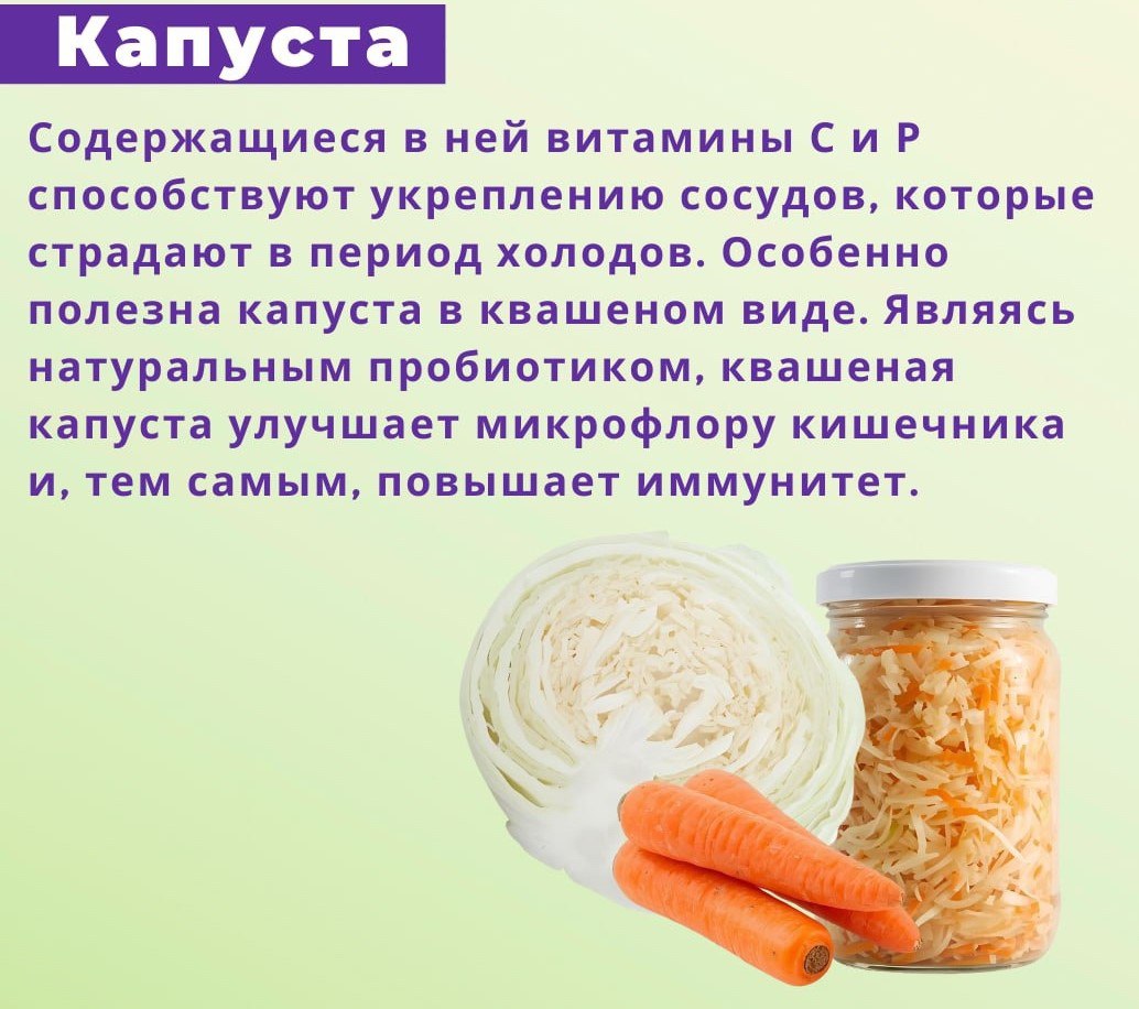 Овощи для осени. Сбалансированный рацион невозможно представить без овощей Овощи для осени. Сбалансированный рацион невозможно представить без овощей