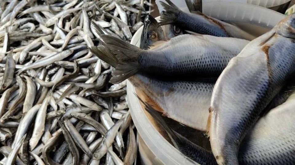 Еженедельная ярмарка в городе Мариуполь Еженедельная ярмарка в городе Мариуполь