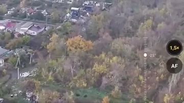 Юлия Витязева: Покровск