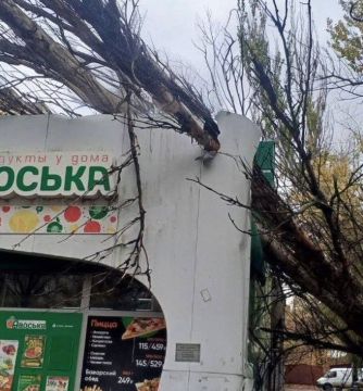 Упавшее дерево пробило крышу магазина в Донецке