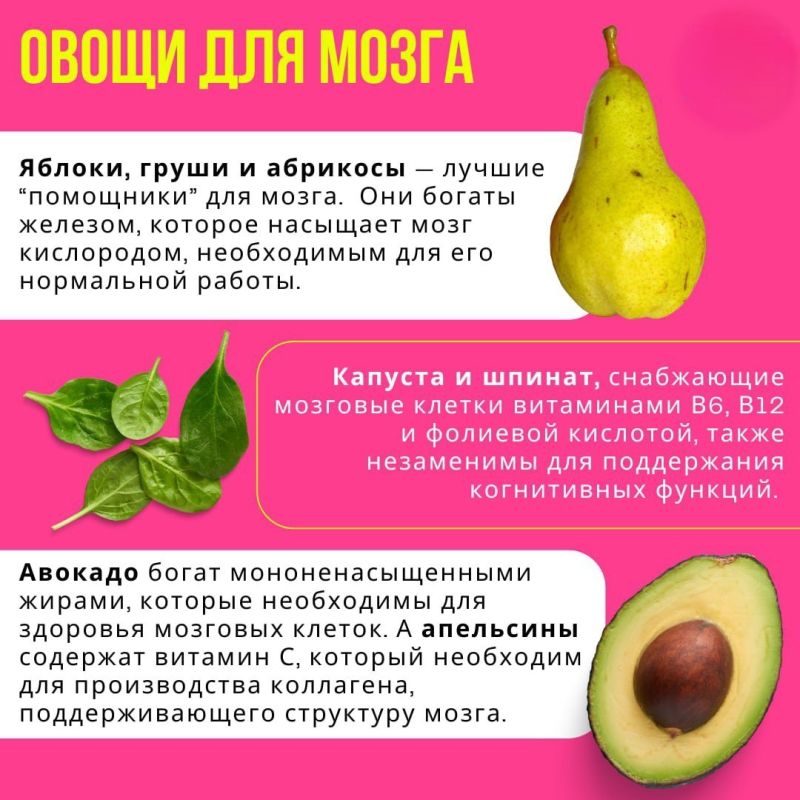 Мы — это то, что мы едим. Правильное питание — ключ к здоровью и долголетию Мы — это то, что мы едим. Правильное питание — ключ к здоровью и долголетию