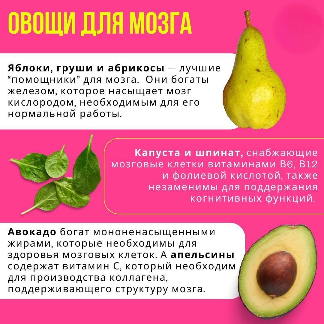 Мы — это то, что мы едим. Правильное питание — ключ к здоровью и долголетию Мы — это то, что мы едим. Правильное питание — ключ к здоровью и долголетию