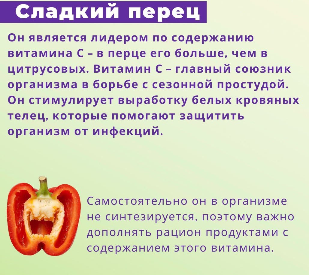 Овощи для осени. Сбалансированный рацион невозможно представить без овощей Овощи для осени. Сбалансированный рацион невозможно представить без овощей