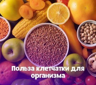 О пользе клетчатки для организма