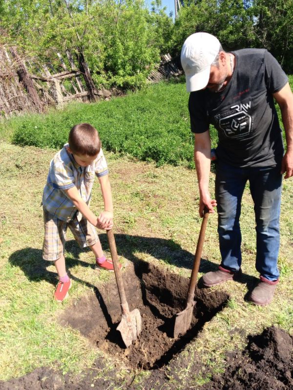 На достигнутом не остановится: горловчанка хочет вырастить гигантские кабачок и лук На достигнутом не остановится: горловчанка хочет вырастить гигантские кабачок и лук