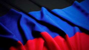Лариса Толстыкина: Дорогие земляки, поздравляю вас с Днем флага Донецкой Народной Республики!