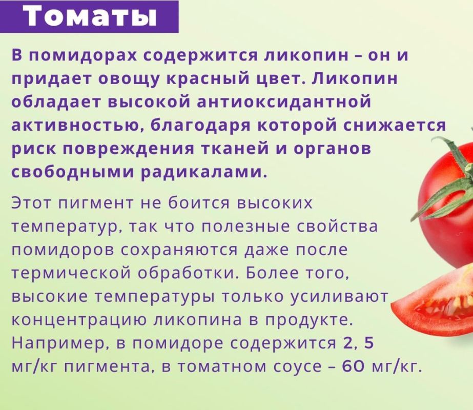 Овощи для осени. Сбалансированный рацион невозможно представить без овощей Овощи для осени. Сбалансированный рацион невозможно представить без овощей