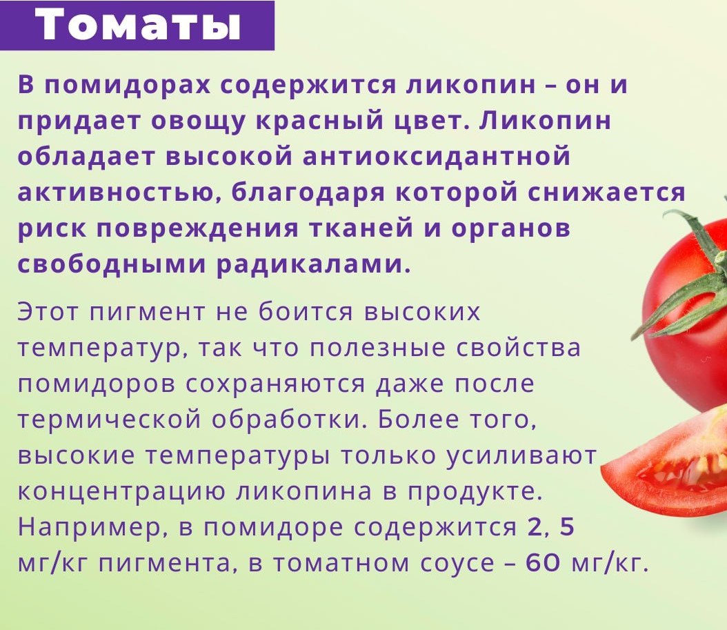 Овощи для осени. Сбалансированный рацион невозможно представить без овощей Овощи для осени. Сбалансированный рацион невозможно представить без овощей