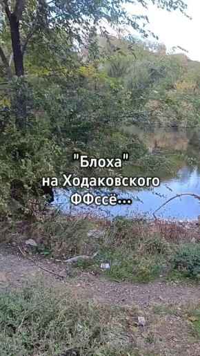Даже «Блоха» обмелела: небольшой пруд в Калининском районе Донецка тоже высыхает