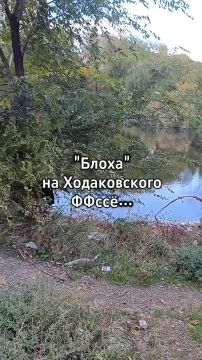 Даже «Блоха» обмелела: небольшой пруд в Калининском районе Донецка тоже высыхает