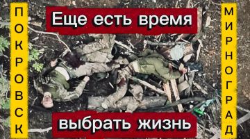 Покровское направление (26.10.25): ВС РФ предложили гарнизонам Покровска и Мирнограда капитуляцию