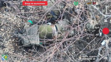 В Красноармейске (Покровске) сейчас самое ясное для понимания и простое для поведения место на Земле: Кто не сдаётся, тот умирает