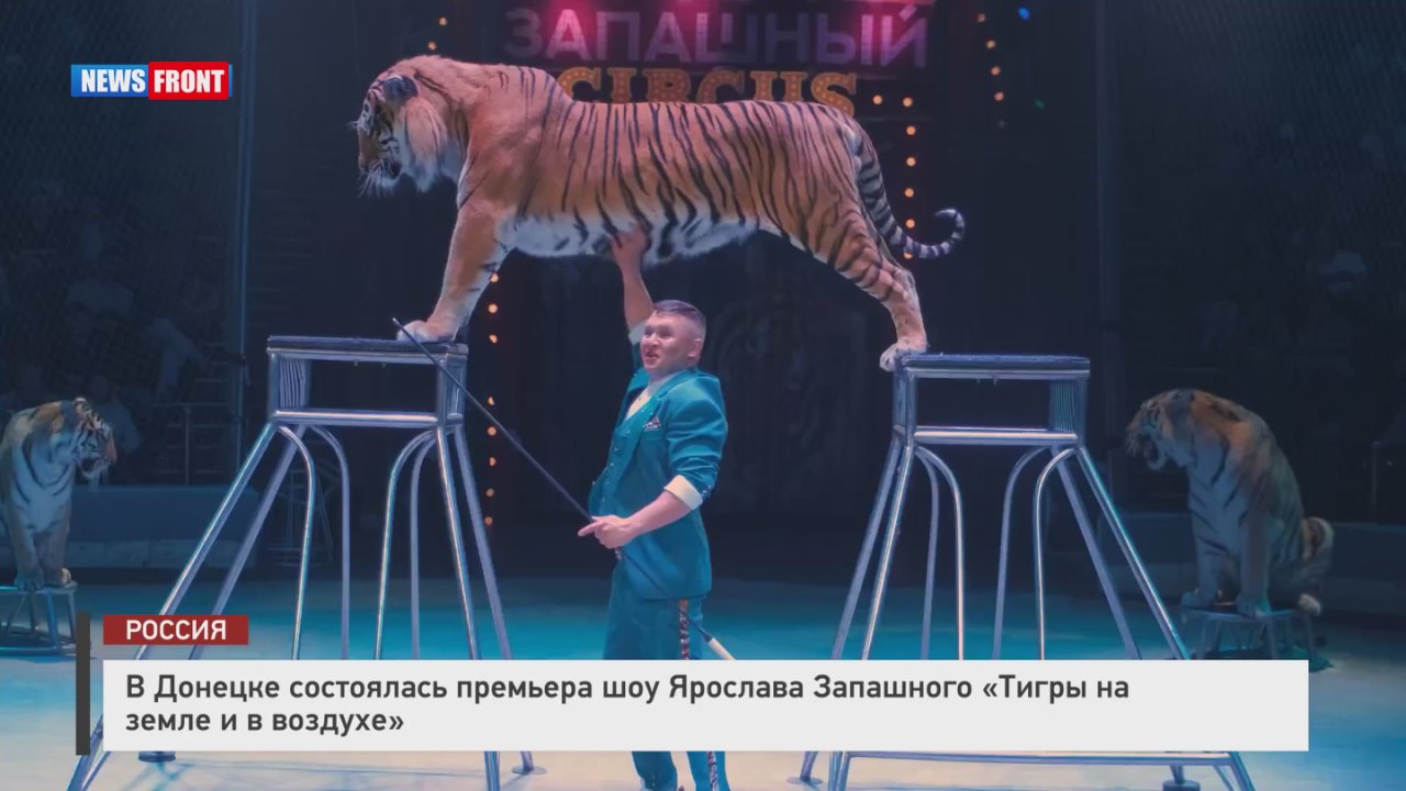 В Донецке состоялась премьера шоу Ярослава Запашного "Тигры на земле и в воздухе"