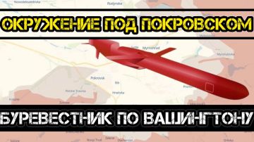 Тамир Шейх и Андрей Пономарь