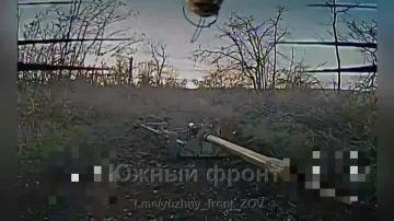 Уничтожение ФПВ дроном украинской пушки МТ-12 на Северском направлении