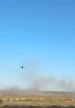 Это видео активно расходится в сети