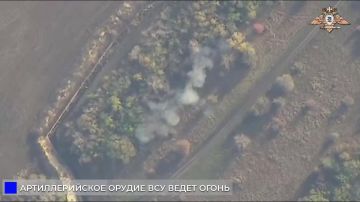Расчёт «Беркут» 238 бригады уничтожает гаубицу М777 ВСУ в районе Николайполья