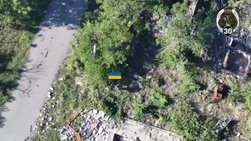 Наши FPV наводнили Покровск, их сейчас там больше, чем листьев на деревьях