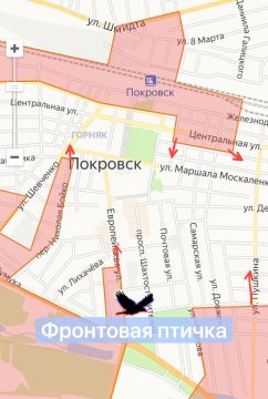 Покровск. Катастрофа всу. 27.10 14:00 по Мск