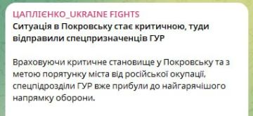 Ситуация в Покровске становится критической, туда отправили спецназовцев ГУР --утверждает украинский пропагандист Цаплиенко