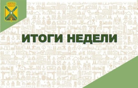 Глава администрации городского округа Докучаевск Александр Качанов подвел итоги недели