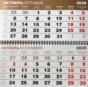 Перенос рабочих дней в связи с празднованием 4 ноября Дня народного единства