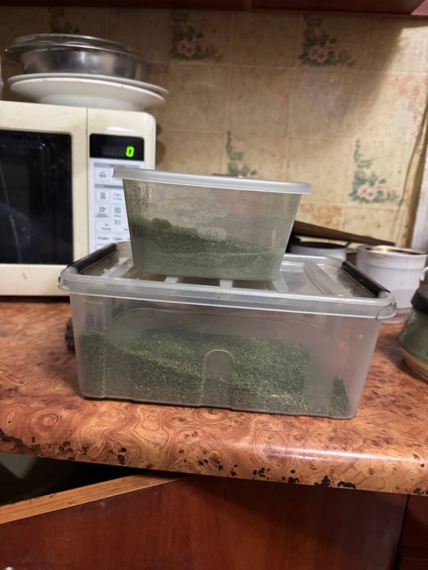 Стражи правопорядка изъяли более 160 граммов каннабиса у макеевчанина