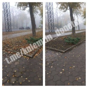 Алексей Кулемзин: Работники предприятия «Зелёное строительство» не прекращают трудиться над поддержанием чистоты и порядка во всех районах города