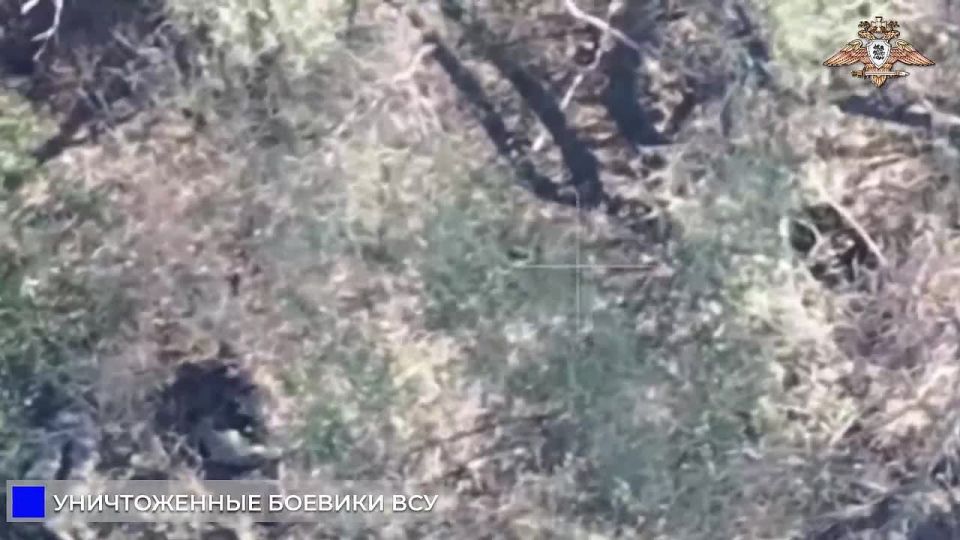 174 орб ликвидирует пехоту ВСУ в районе Софиевки