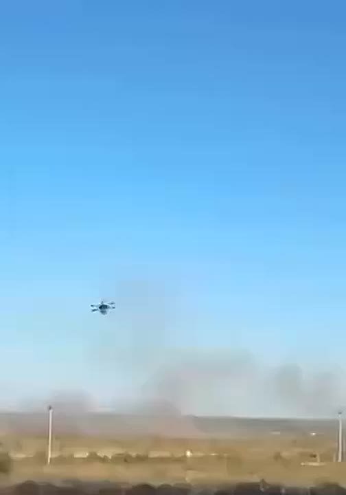 Это видео активно расходится в сети