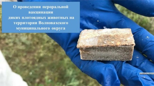 Бешенство — природно-очаговое, особо опасное смертельное, инфекционное заболевание, вызываемое вирусом бешенства Rabies virus