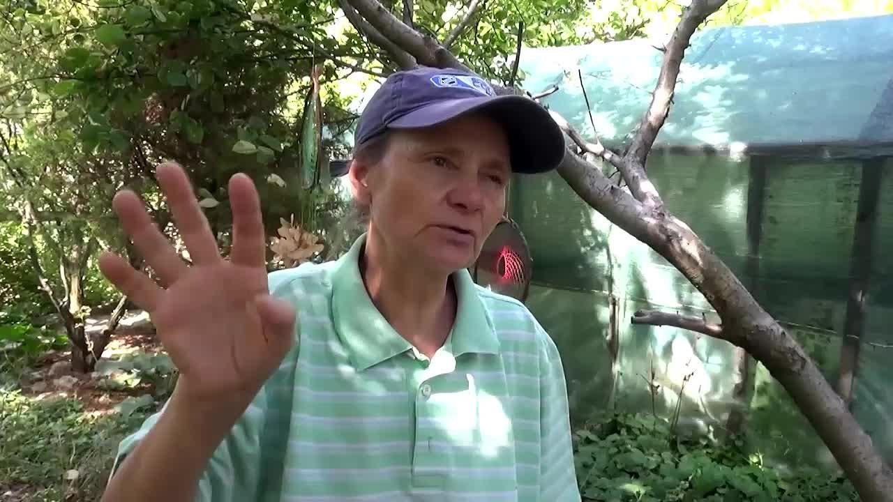 «МЫ РУССКИЕ» История донецкого спасателя