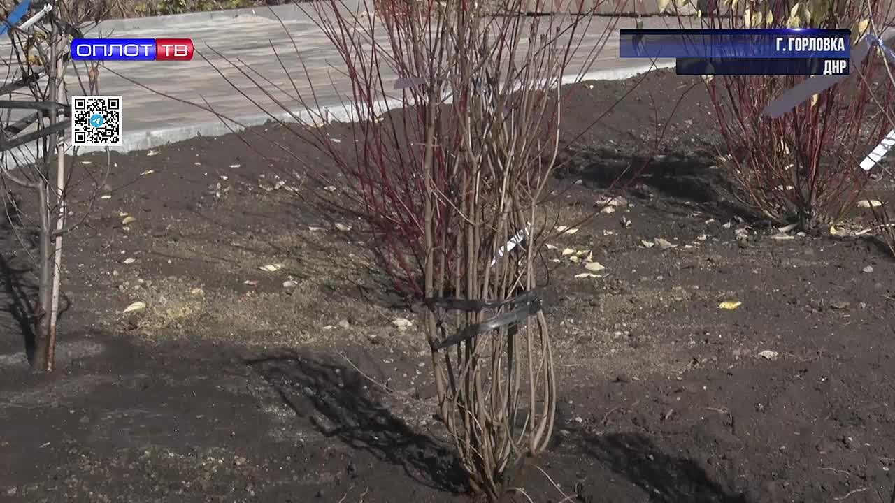 В Горловке высадили новые деревья